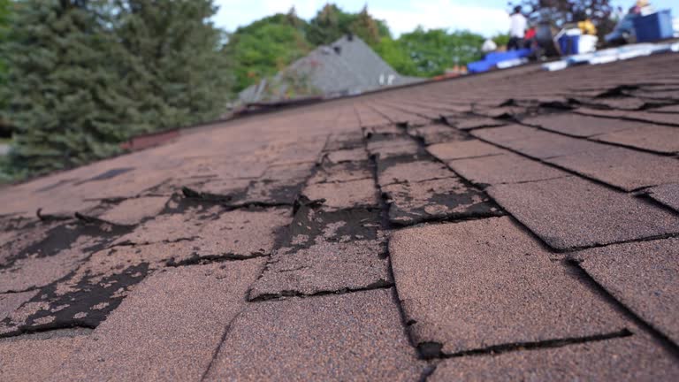 Reliable Hildebran, NC Roofing Services Solutions